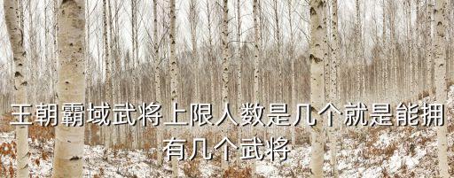王朝霸域武將上限人數(shù)是幾個(gè)就是能擁有幾個(gè)武將