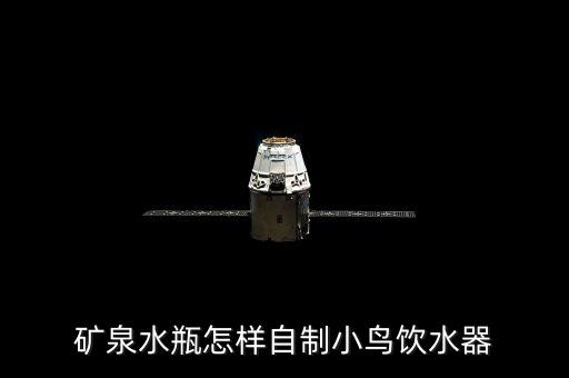 礦泉水瓶怎樣自制小鳥飲水器