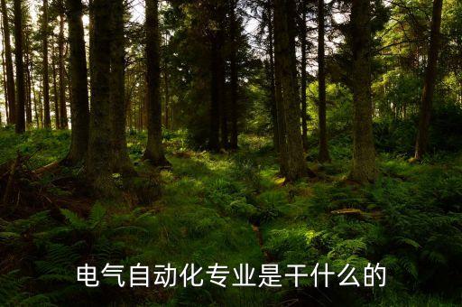 電氣自動(dòng)化專業(yè)是干什么的