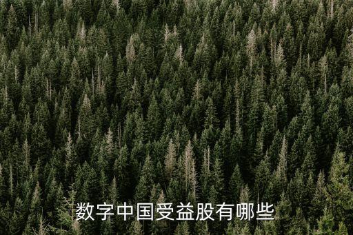 數(shù)字中國受益股有哪些