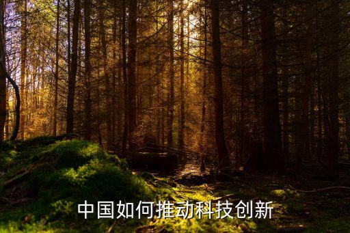中國(guó)如何推動(dòng)科技創(chuàng)新