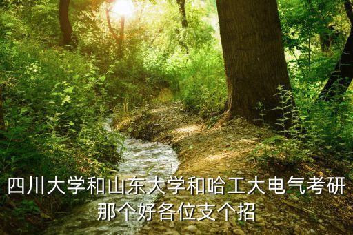 四川大學(xué)和山東大學(xué)和哈工大電氣考研那個好各位支個招