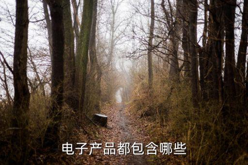 電子產(chǎn)品都包含哪些