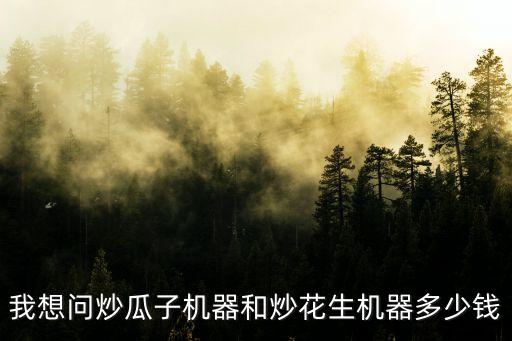炒花生機(jī)器價格多少一臺，我想問炒瓜子機(jī)器和炒花生機(jī)器多少錢
