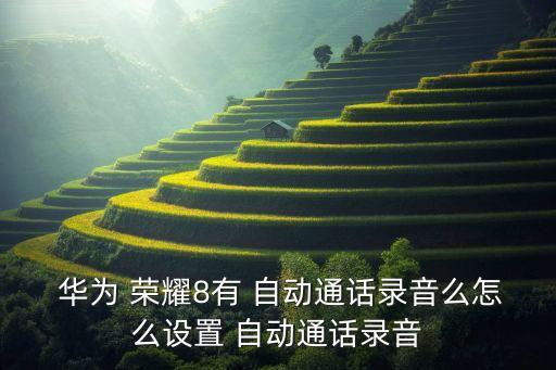  華為 榮耀8有 自動(dòng)通話錄音么怎么設(shè)置 自動(dòng)通話錄音