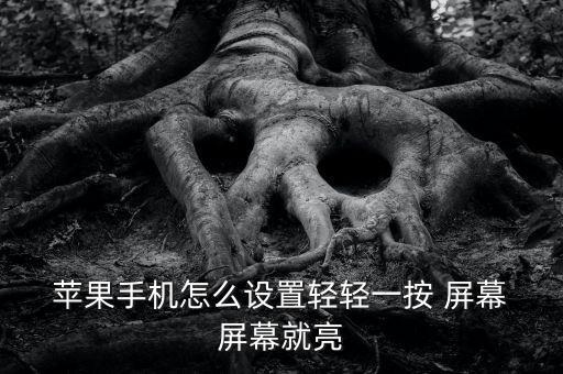  蘋果手機(jī)怎么設(shè)置輕輕一按 屏幕 屏幕就亮