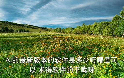 AI的最新版本的軟件是多少呀哪里可以 求得軟件的下載呀