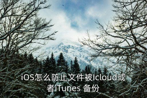iOS怎么防止文件被Icloud或者iTunes 備份