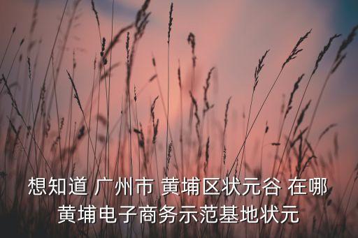 想知道 廣州市 黃埔區(qū)狀元谷 在哪黃埔電子商務(wù)示范基地狀元