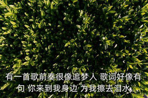 有一首歌前奏很像追夢人 歌詞好像有句 你來到我身邊 為我擦去淚水