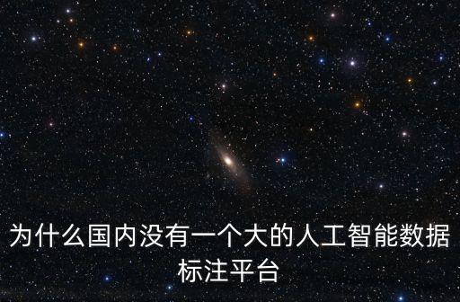 為什么國內(nèi)沒有一個大的人工智能數(shù)據(jù)標注平臺