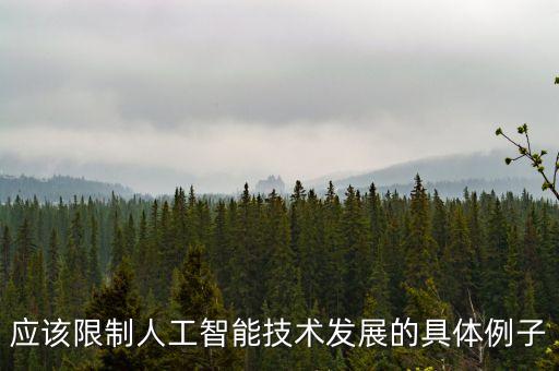 應(yīng)該限制人工智能技術(shù)發(fā)展的具體例子