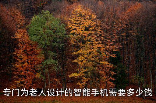 專(zhuān)門(mén)為老人設(shè)計(jì)的智能手機(jī)需要多少錢(qián)