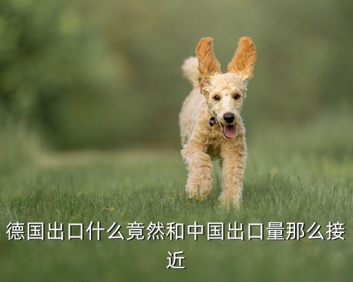 德國出口什么竟然和中國出口量那么接近