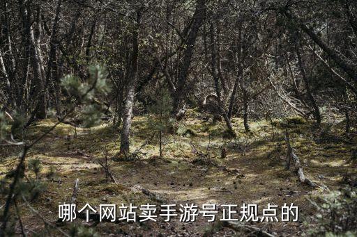 賣號的正規(guī)交易平臺，哪個網(wǎng)站賣手游號正規(guī)點的