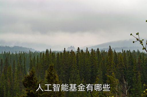 人工智能基金有哪些