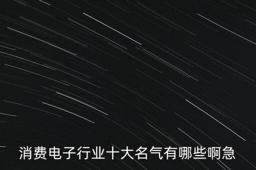 消費電子行業(yè)十大名氣有哪些啊急