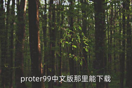 重返未來(lái)1999下載，charli xcxtroye sivan 1999云盤(pán)下載