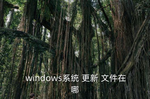  windows系統(tǒng) 更新 文件在哪