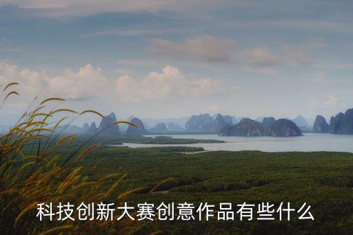 科技創(chuàng)新大賽創(chuàng)意作品有些什么