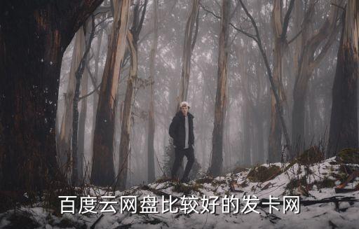 免費(fèi)的發(fā)卡網(wǎng)，百度云網(wǎng)盤比較好的發(fā)卡網(wǎng)