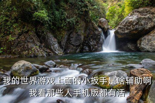 我的世界游戲上面的小扳手是啥輔助啊我看那些人手機版都有活
