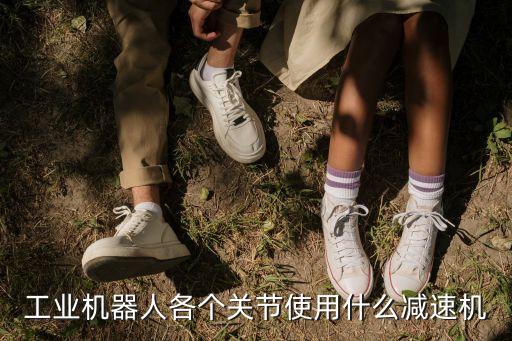 工業(yè)機(jī)器人各個(gè)關(guān)節(jié)使用什么減速機(jī)