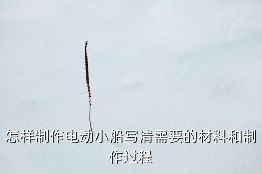 小學(xué)生自制電動小船，怎樣制作電動小船寫清需要的材料和制作過程