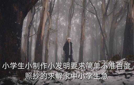 小學生小制作小發(fā)明要求簡單不準百度照抄的求解家中小學生急