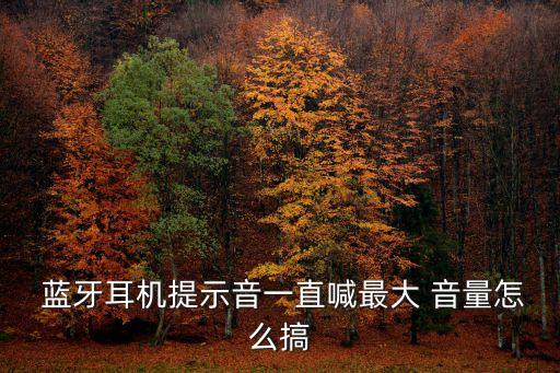  藍(lán)牙耳機(jī)提示音一直喊最大 音量怎么搞