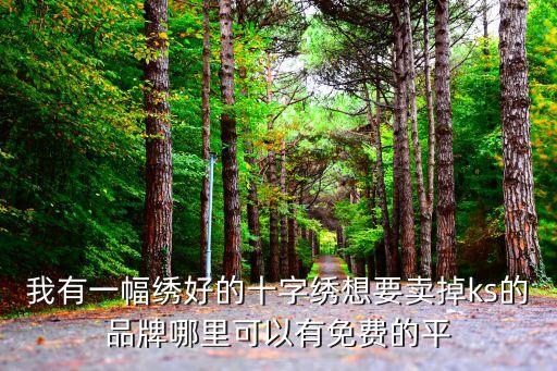 ks業(yè)務(wù)免費(fèi)自助下單平臺，KS線切割軟件應(yīng)用