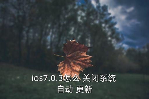  ios7.0.3怎么 關(guān)閉系統(tǒng) 自動(dòng) 更新