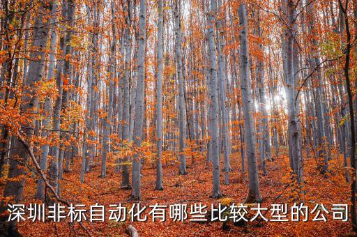 深圳非標(biāo)自動(dòng)化有哪些比較大型的公司