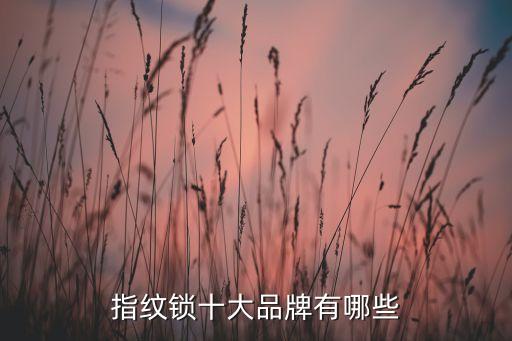 智能鎖指紋鎖十大名牌，智能指紋鎖十大名牌有哪些