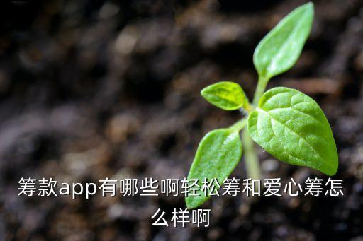 籌款app有哪些啊輕松籌和愛心籌怎么樣啊