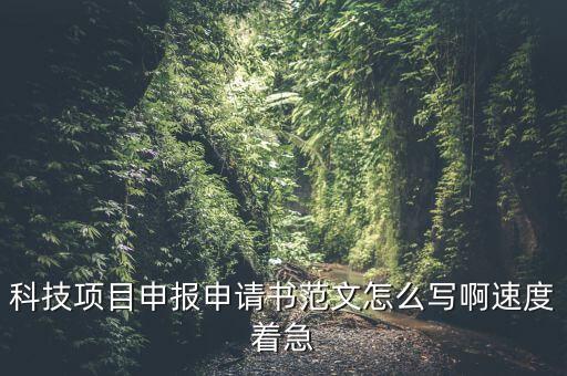 科技項(xiàng)目申報(bào)申請(qǐng)書范文怎么寫啊速度著急