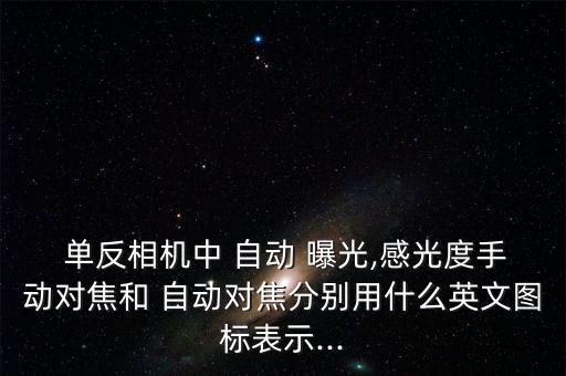  單反相機(jī)中 自動(dòng) 曝光,感光度手動(dòng)對(duì)焦和 自動(dòng)對(duì)焦分別用什么英文圖標(biāo)表示...