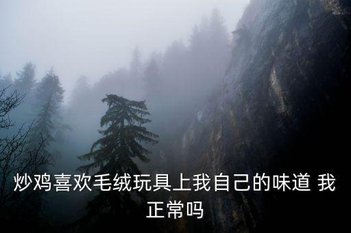 自動(dòng)炒雞機(jī)器口味，炒雞喜歡毛絨玩具上我自己的味道 我正常嗎