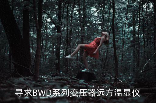 尋求BWD系列變壓器遠(yuǎn)方溫顯儀