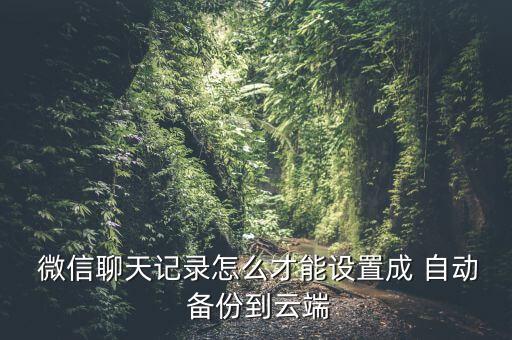  微信聊天記錄怎么才能設(shè)置成 自動(dòng) 備份到云端