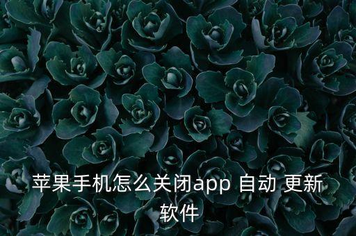 apple軟件自動更新,蘋果如何設(shè)置自動更新app?