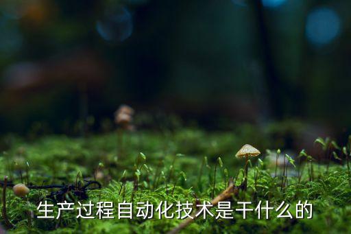 智能過(guò)程自動(dòng)化的主要目的，生產(chǎn)過(guò)程自動(dòng)化專業(yè)主要是干什么的