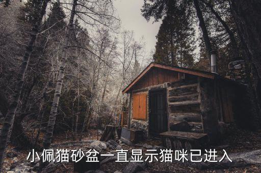 小佩貓砂盆一直顯示貓咪已進(jìn)入