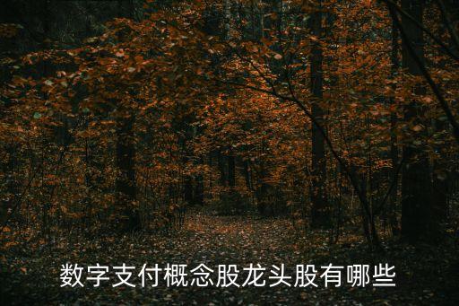 數(shù)字貨幣概念股龍頭一覽，數(shù)字支付概念股龍頭股有哪些