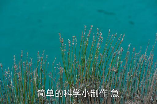 簡(jiǎn)單的科學(xué)小制作 急