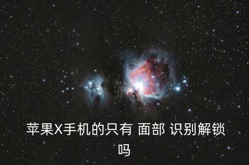  蘋果X手機的只有 面部 識別解鎖嗎