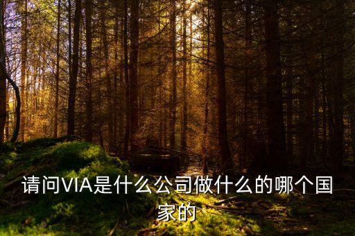 請問VIA是什么公司做什么的哪個國家的