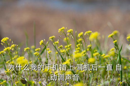 為什么我的手機(jī)插上 耳機(jī)后一直 自動(dòng)調(diào)聲音