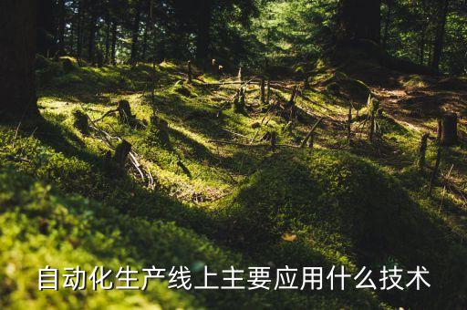 自動化生產(chǎn)線上主要應用什么技術(shù)