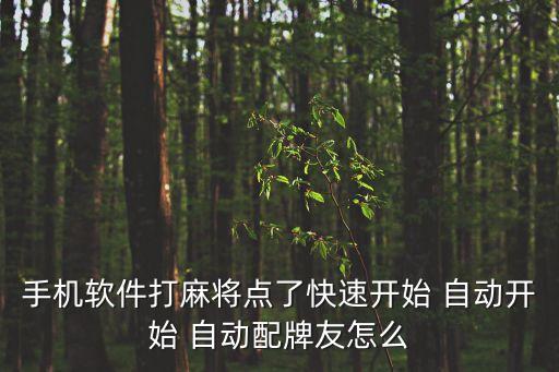 自動打牌app,手機麻將游戲規(guī)則:隨機發(fā)牌不會扣錢